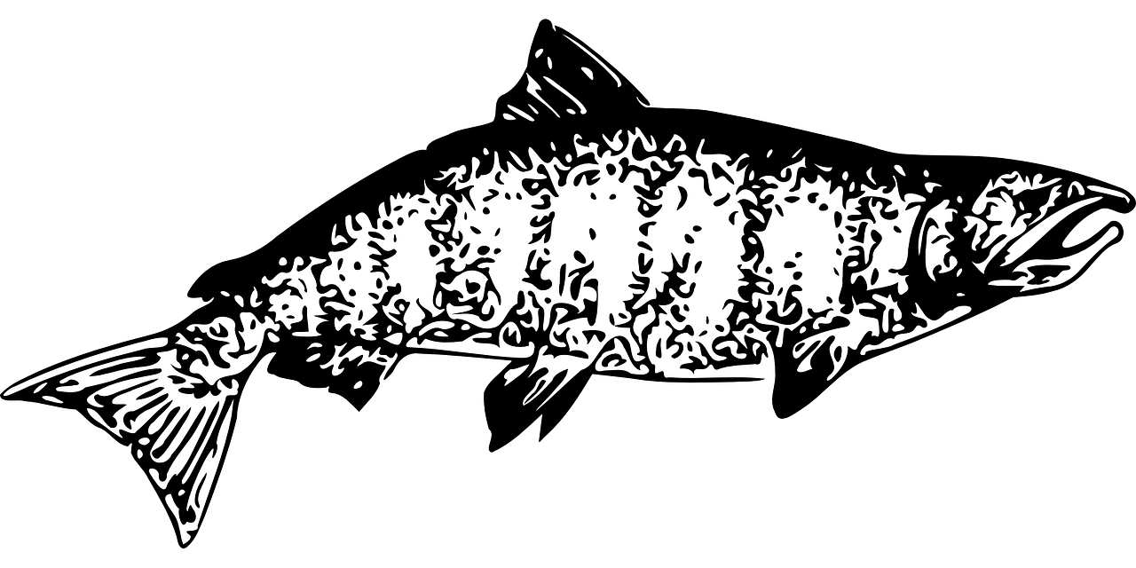 誰(shuí)清楚貴的熱帶羅漢魚(yú)是哪種，金華羅漢魚(yú)價(jià)格哪位清楚 羅漢魚(yú) 第3張