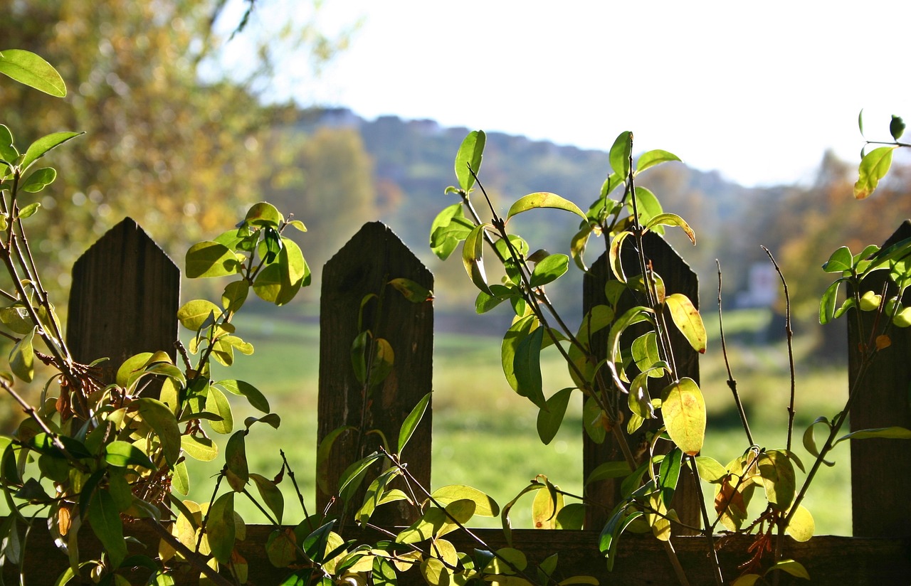 仿真植物墻廠(chǎng)家排名前十名（仿真植物墻施工方法是什么） 廣州景觀(guān)設(shè)計(jì) 第4張