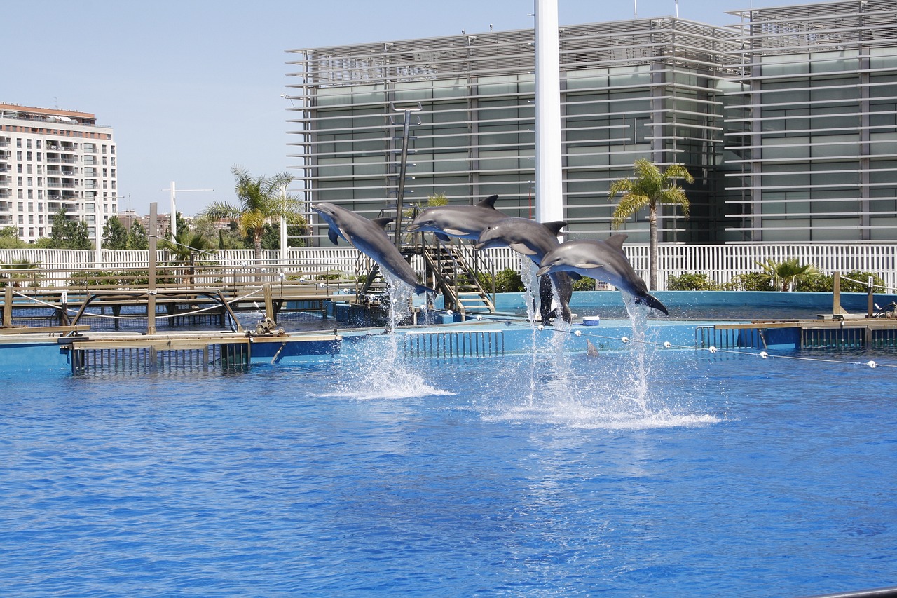 烏達(dá)區(qū)海洋水族店 全國(guó)水族館企業(yè)名錄 第2張