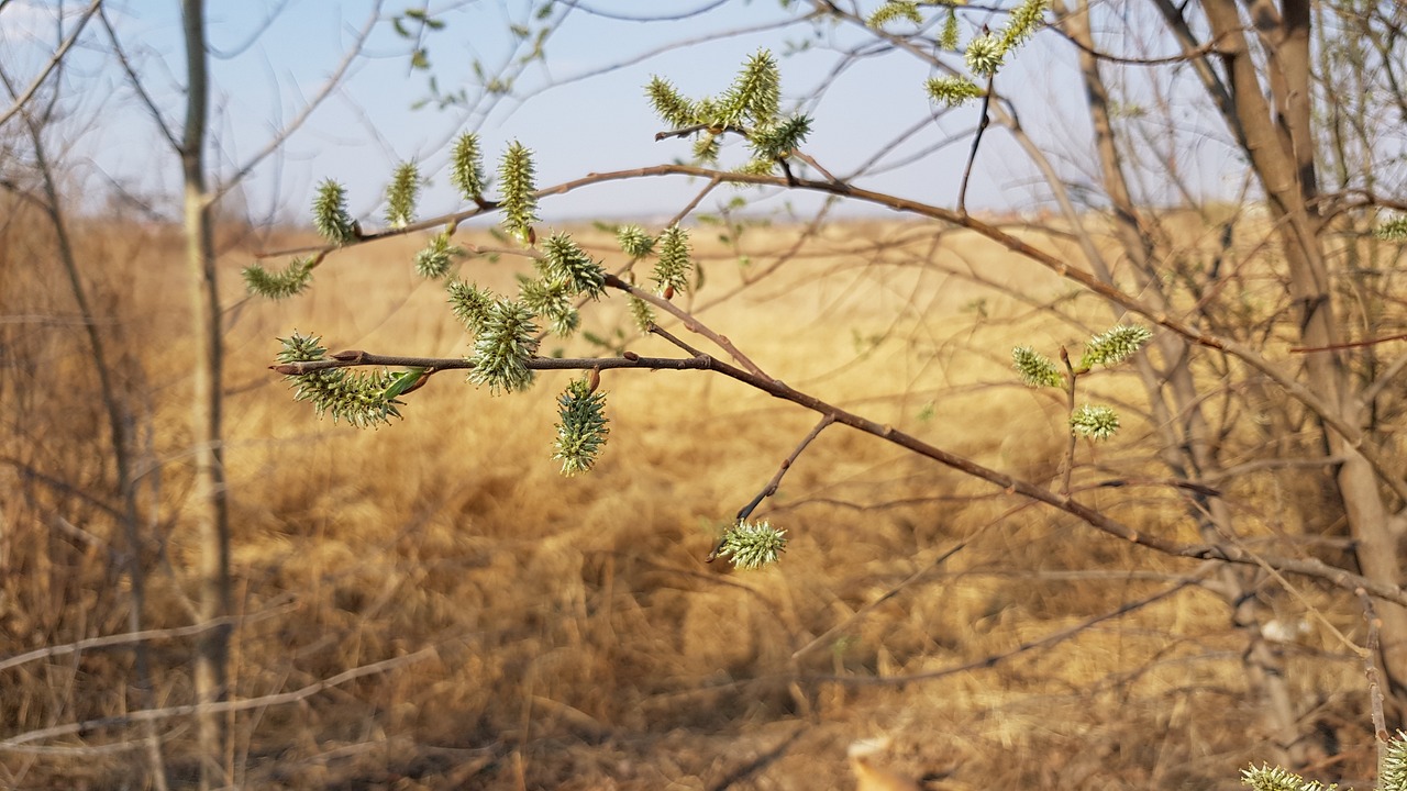 廣州綠植化妝品有限公司官網(wǎng)（蘭樹(shù)化妝品是幾線品牌） 廣州景觀設(shè)計(jì) 第1張