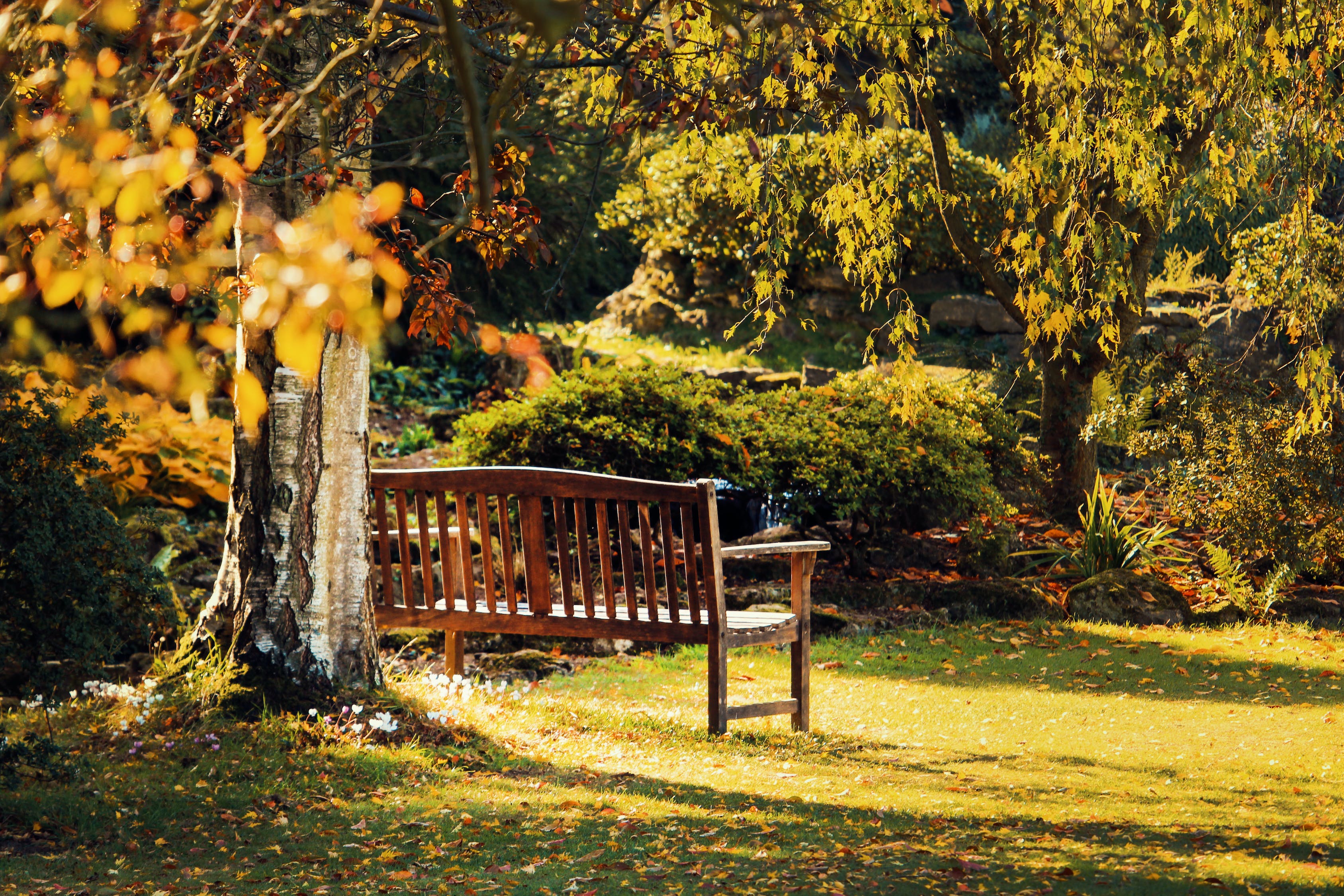 小區(qū)園林景觀實(shí)景圖（別墅房屋私家花園景觀效果圖） 廣州景觀設(shè)計(jì) 第2張