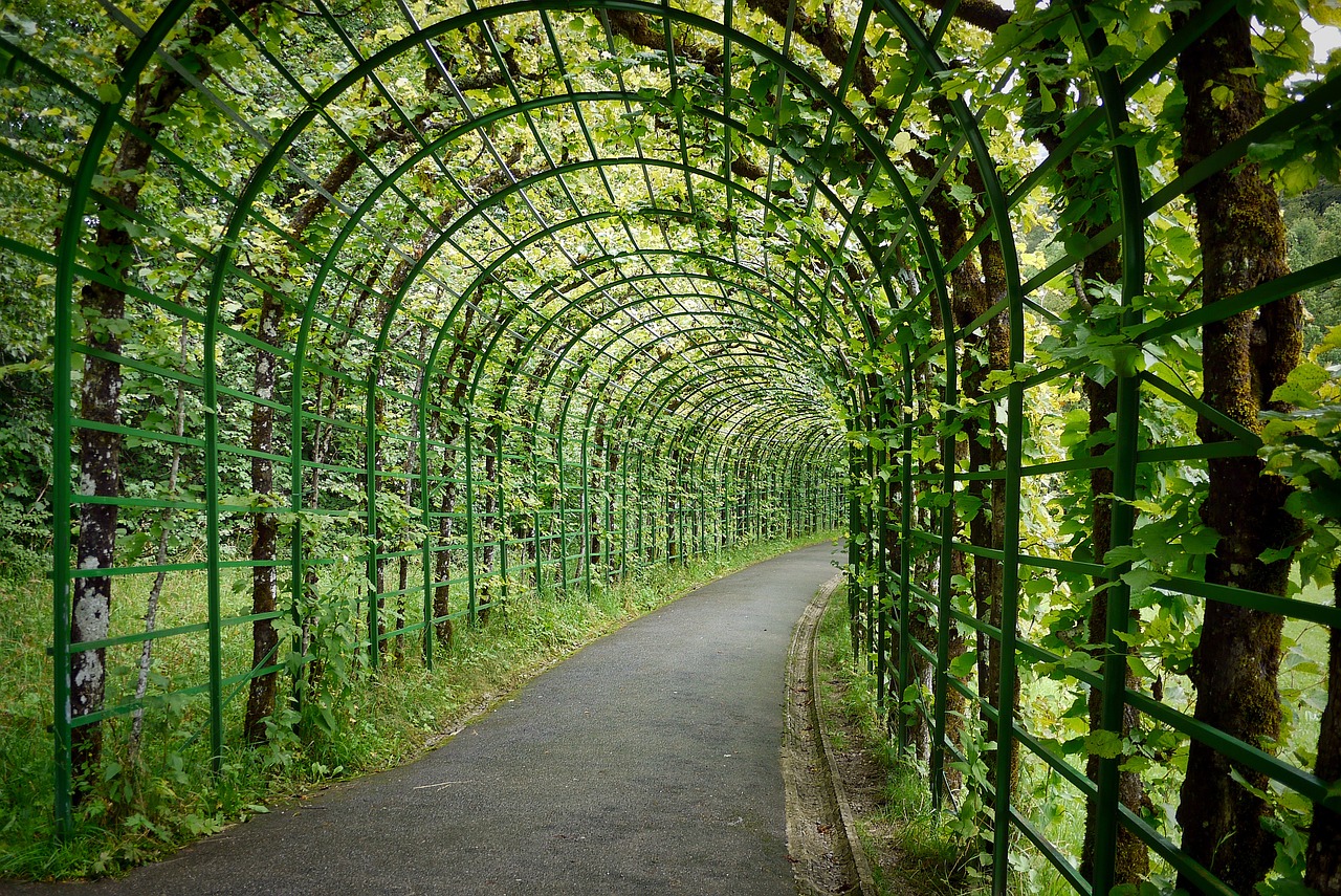 小區(qū)園林景觀實(shí)景圖（別墅房屋私家花園景觀效果圖） 廣州景觀設(shè)計(jì) 第3張