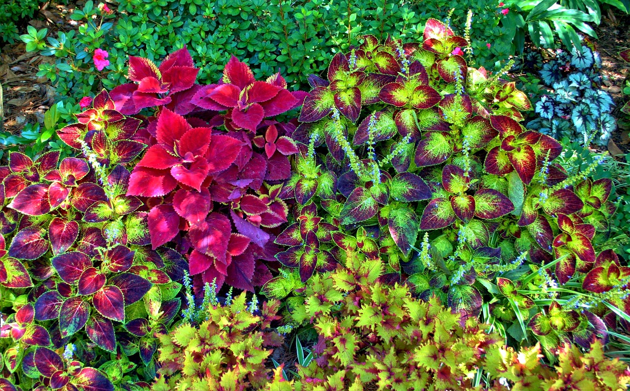 煙臺賣魚缸造景的市場地址（庭院裝飾花壇效果圖） 廣州景觀設(shè)計(jì) 第2張