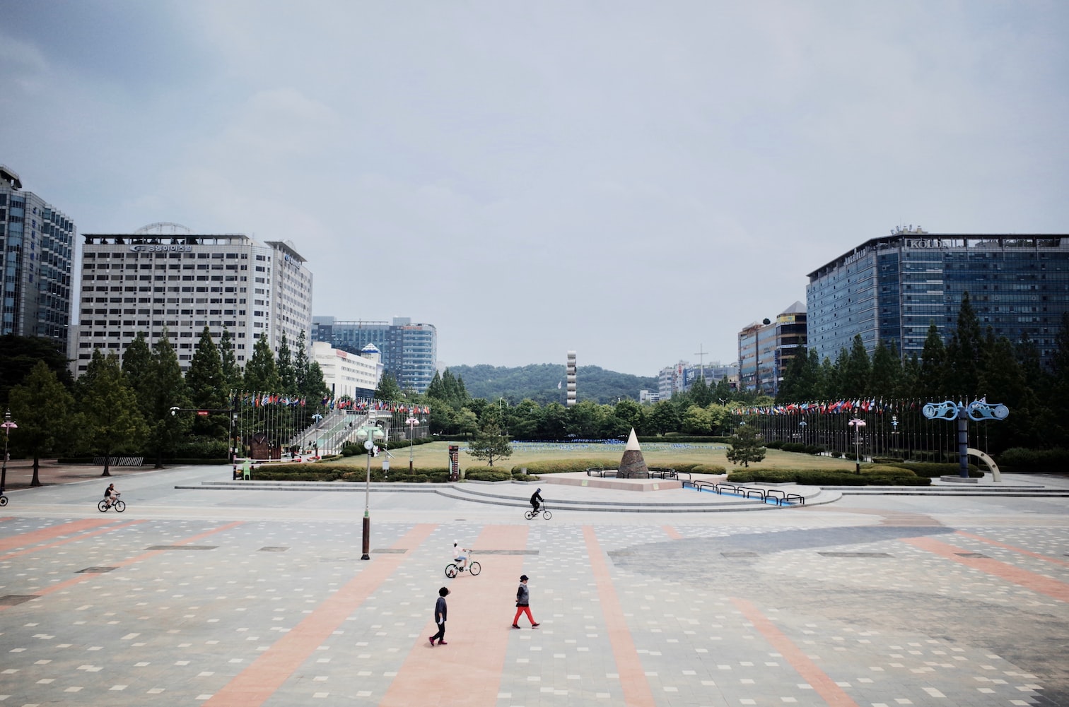 佛山市順德區(qū)龍江鎮(zhèn)林紅彩水族器材店 全國水族館企業(yè)名錄 第2張