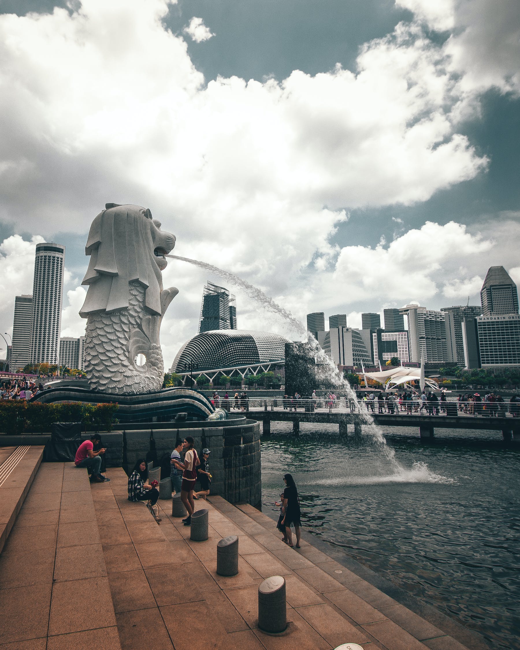 沈陽水族批發(fā)市場地址在哪（沈陽附近都有哪些水世界） 觀賞魚水族批發(fā)市場 第3張