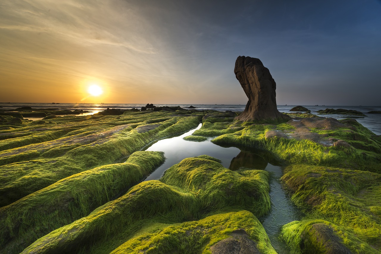 魚(yú)缸背景圖片大圖高清風(fēng)生水起(魚(yú)缸背景圖片大全超清風(fēng)生水起) 肺魚(yú) 第1張