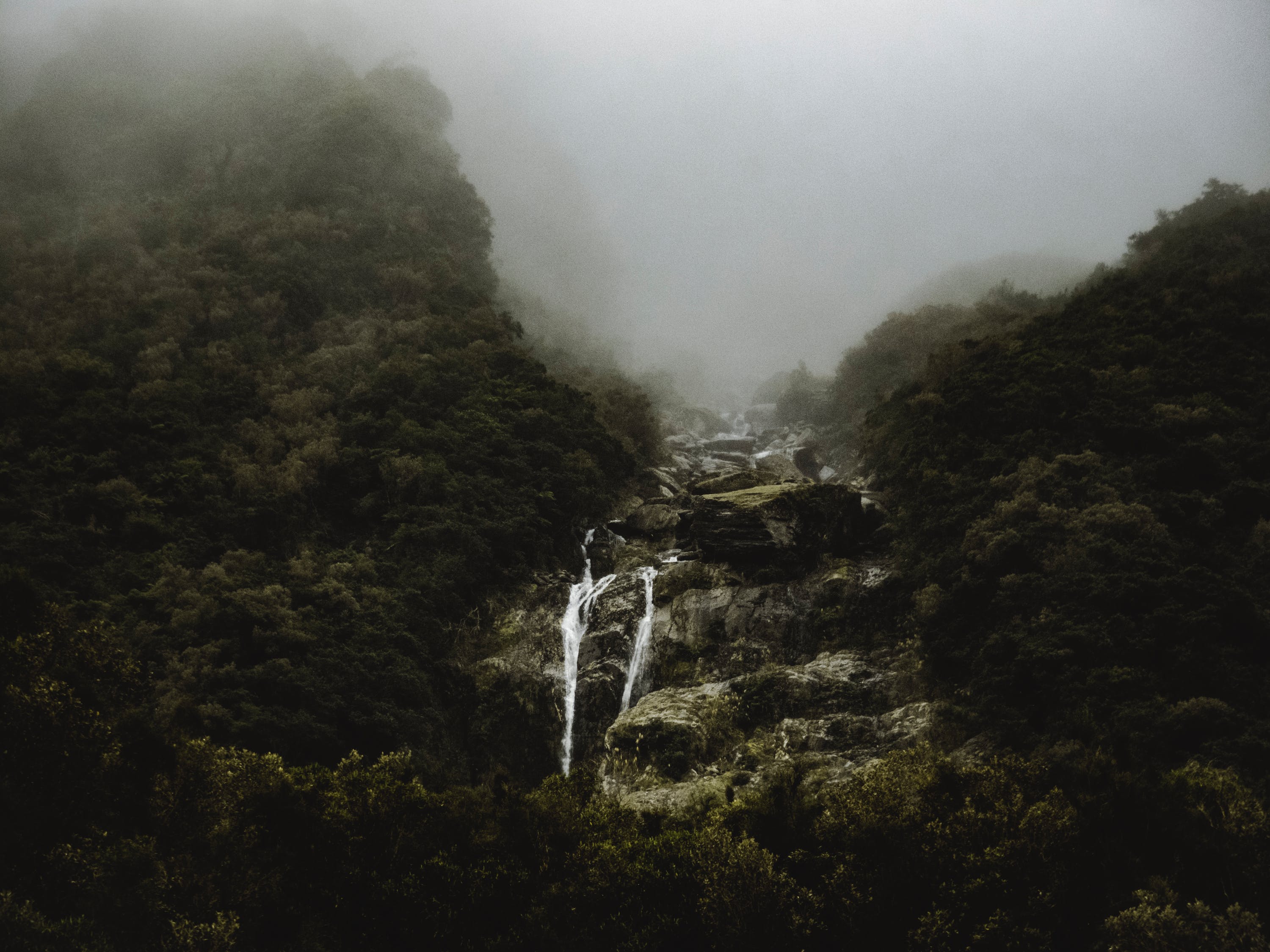 溪流缸造景教程視頻（雨林缸和溪流缸的區(qū)別） 廣州景觀設(shè)計(jì) 第1張