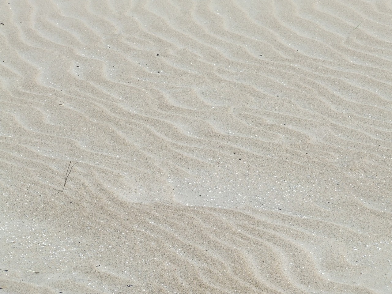 南美缸用溪流沙（家里有個100 60 40的超白魚缸，有） 廣州景觀設(shè)計(jì) 第2張