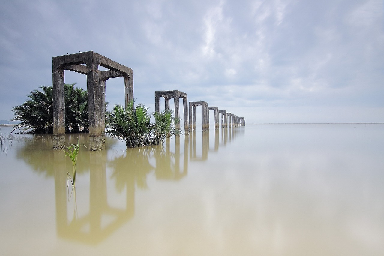 魚(yú)缸置景圖片高清（造景的魚(yú)缸適合養(yǎng)什么魚(yú)） 廣州景觀設(shè)計(jì) 第4張