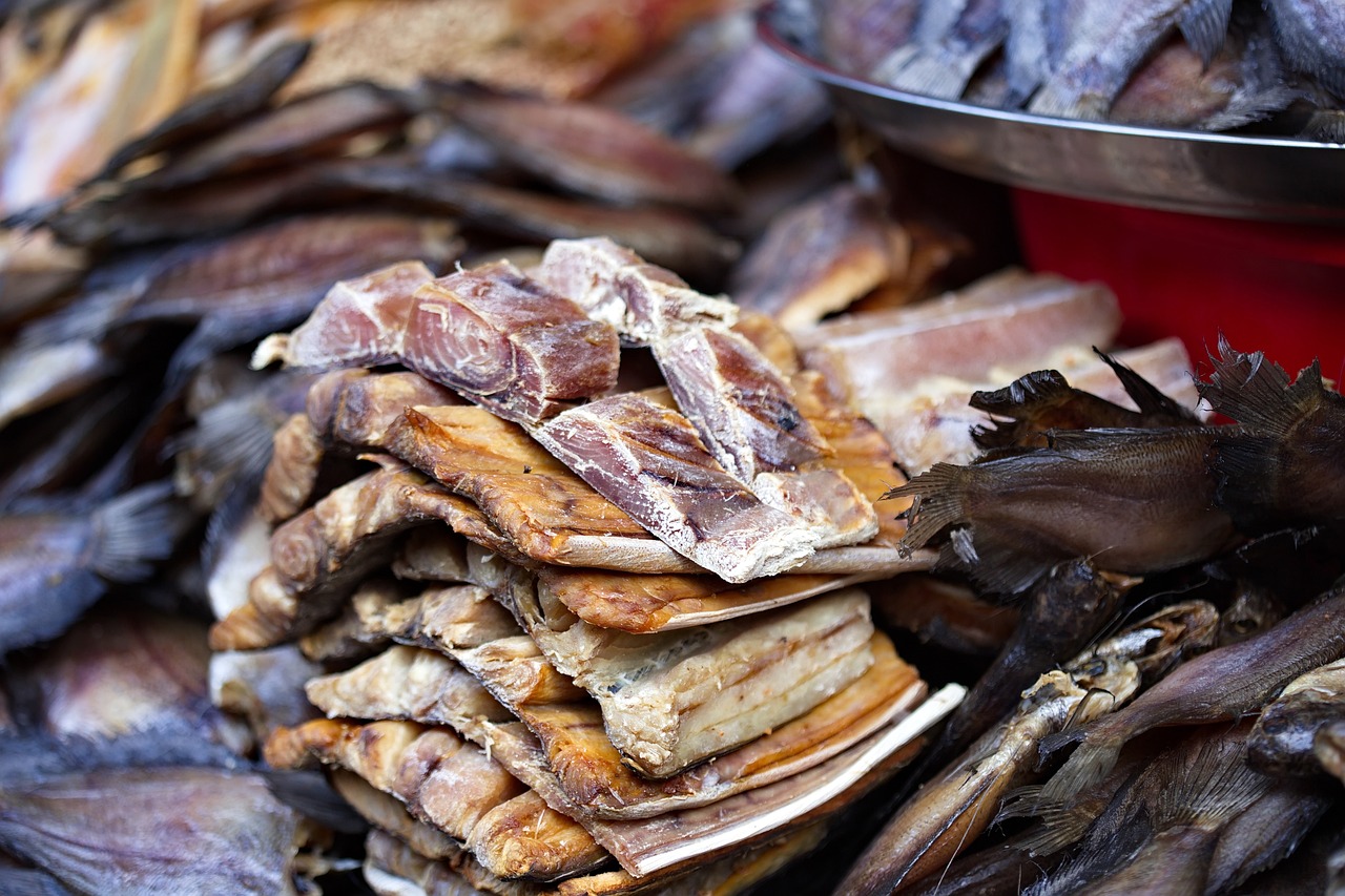 威海觀賞魚基地有哪些地方可以釣魚（乳山的美食有哪些）