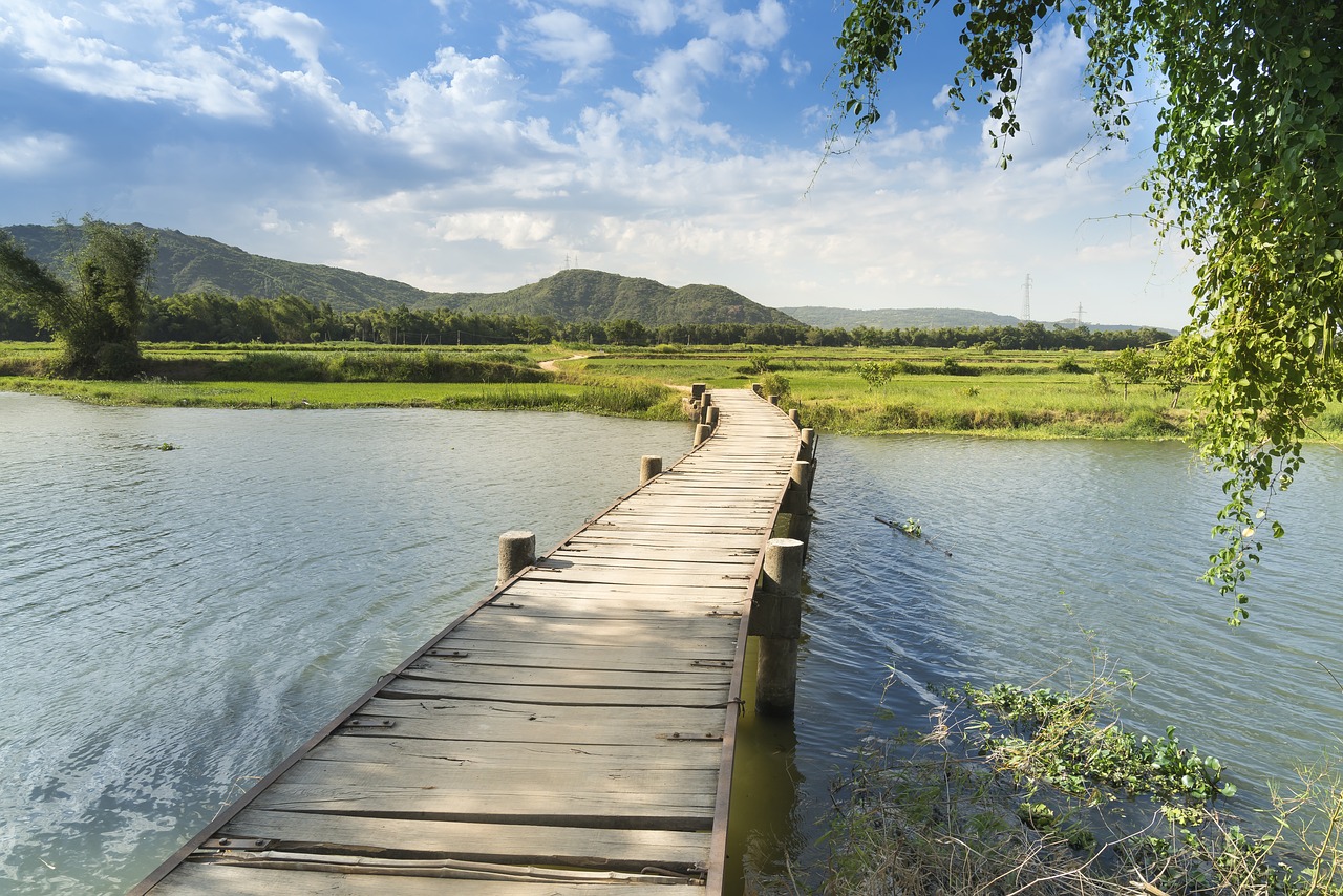 魚池假山造價（有誰知道家庭假山魚池多少錢） 廣州景觀設(shè)計 第3張