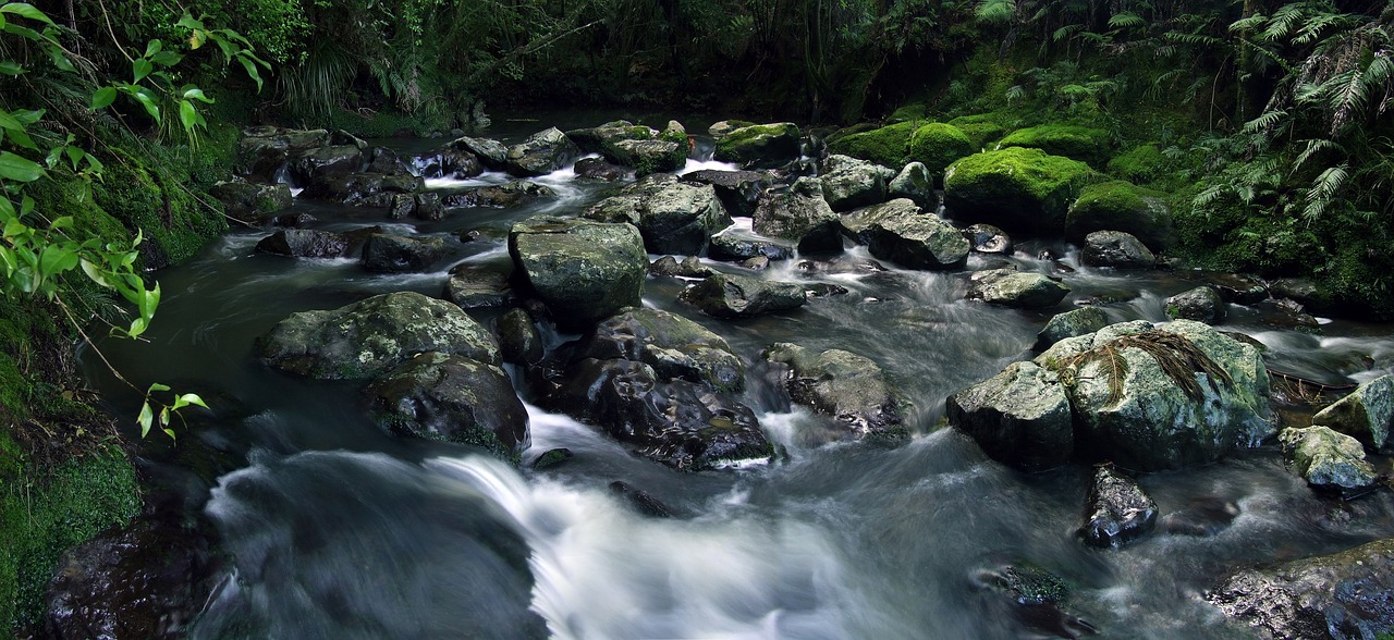 魚缸造景那種石頭比較好（魚缸底層鋪什么沙好） 廣州景觀設(shè)計(jì) 第2張