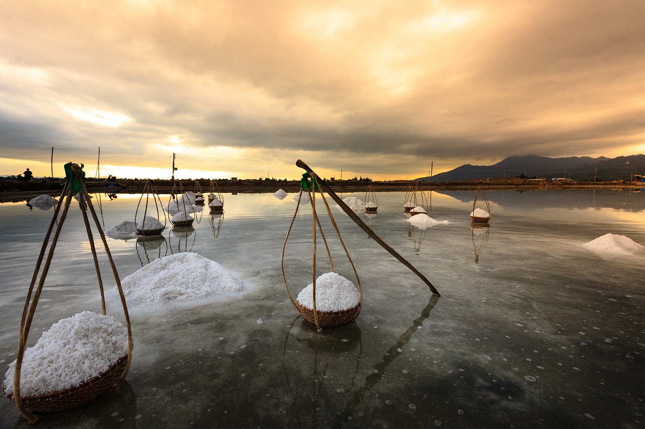 魚(yú)缸藍(lán)色的鹽是什么鹽(魚(yú)缸用鹽三種顏色有什么區(qū)別)