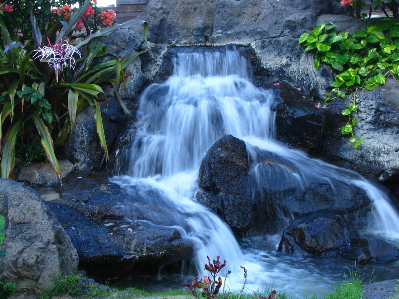 水族造景大賽（熱帶雨林魚缸造景價格是多少） 廣州景觀設計 第3張