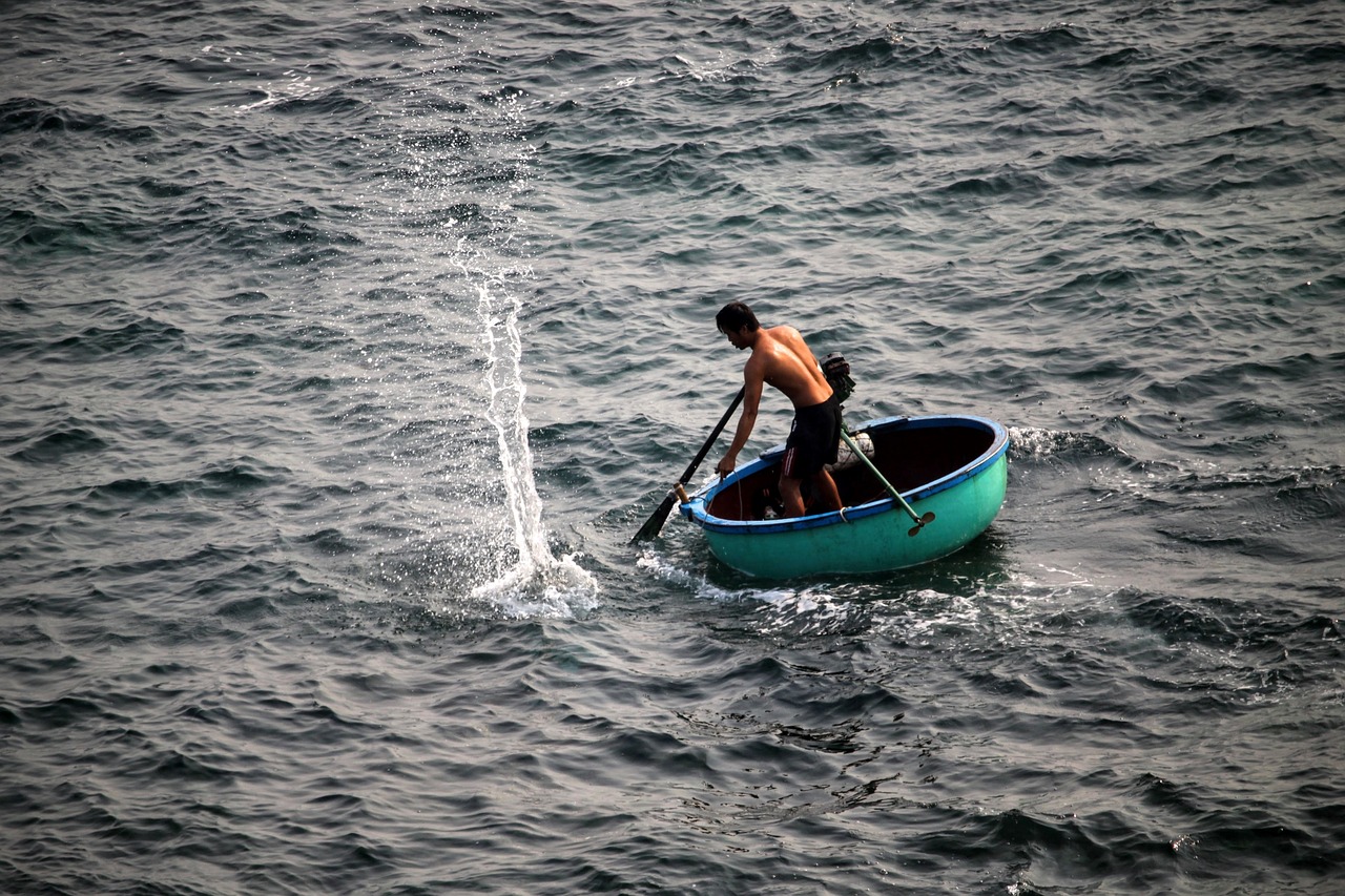 大鹽可以放魚(yú)缸嗎：大鹽可以放魚(yú)缸嗎為什么