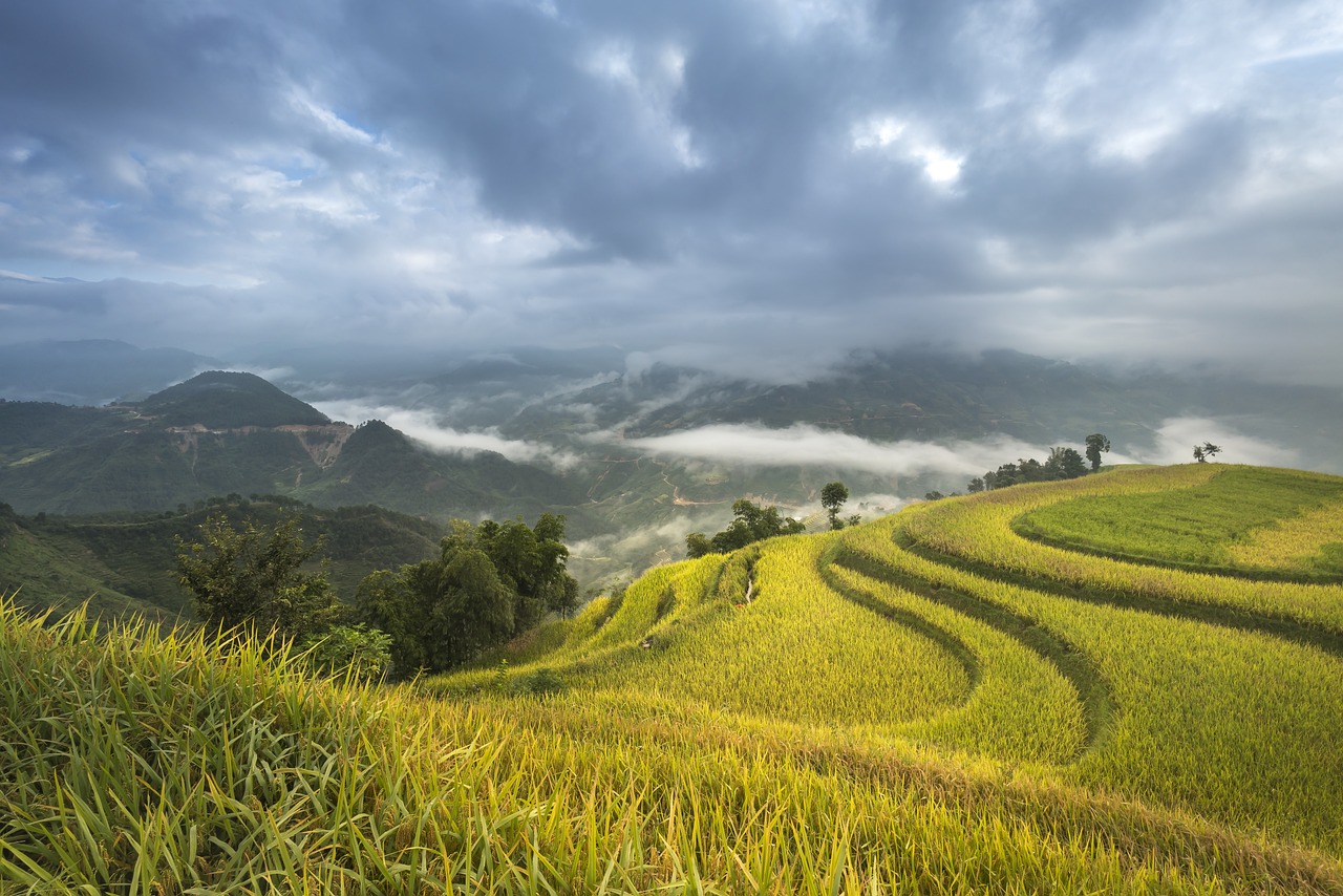 12米青龍石造景 夢幻雷龍魚 第3張