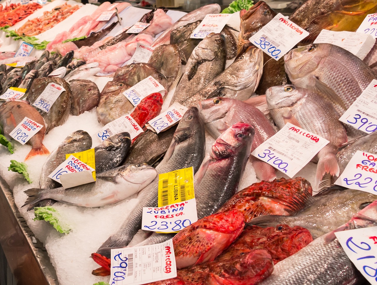 鞍山魚市觀賞魚批發(fā)市場是否解封了(鞍山魚市什么時(shí)候開門)