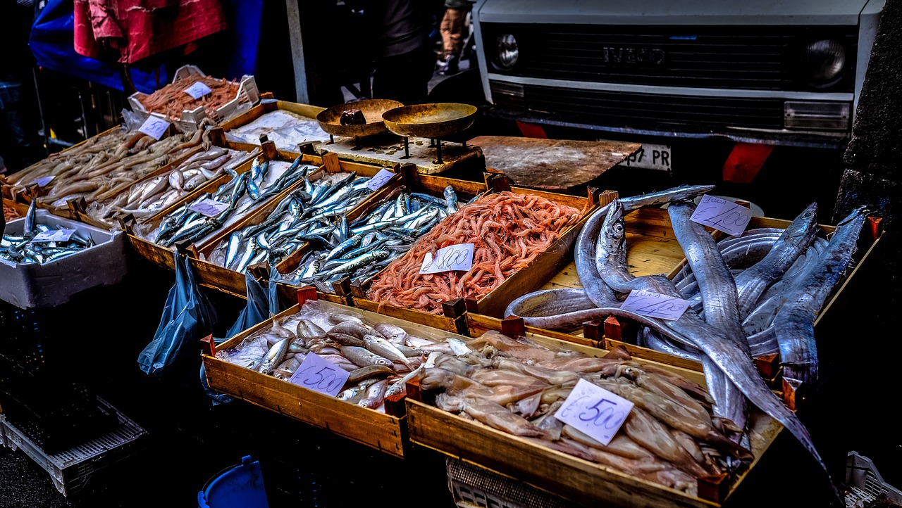 無錫觀賞魚批發(fā)市場在哪里(無錫魚類批發(fā)市場) 觀賞魚批發(fā) 第1張