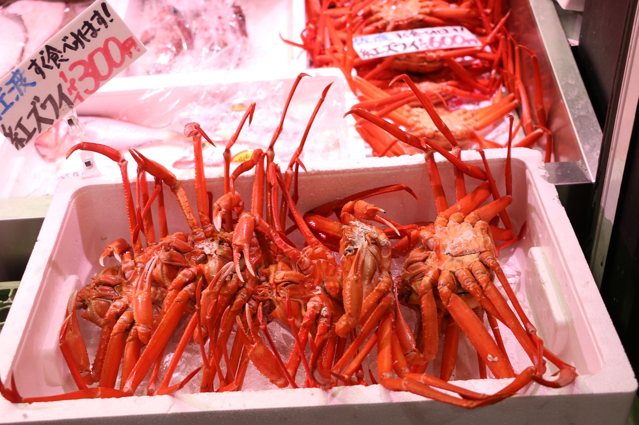 海北藏族自治州花鳥魚蟲市場（海北藏族自治州花鳥魚蟲市場地址）