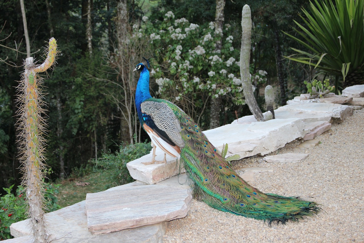 雄縣雄州鎮(zhèn)魚(yú)樂(lè)水族店 全國(guó)水族館企業(yè)名錄 第1張