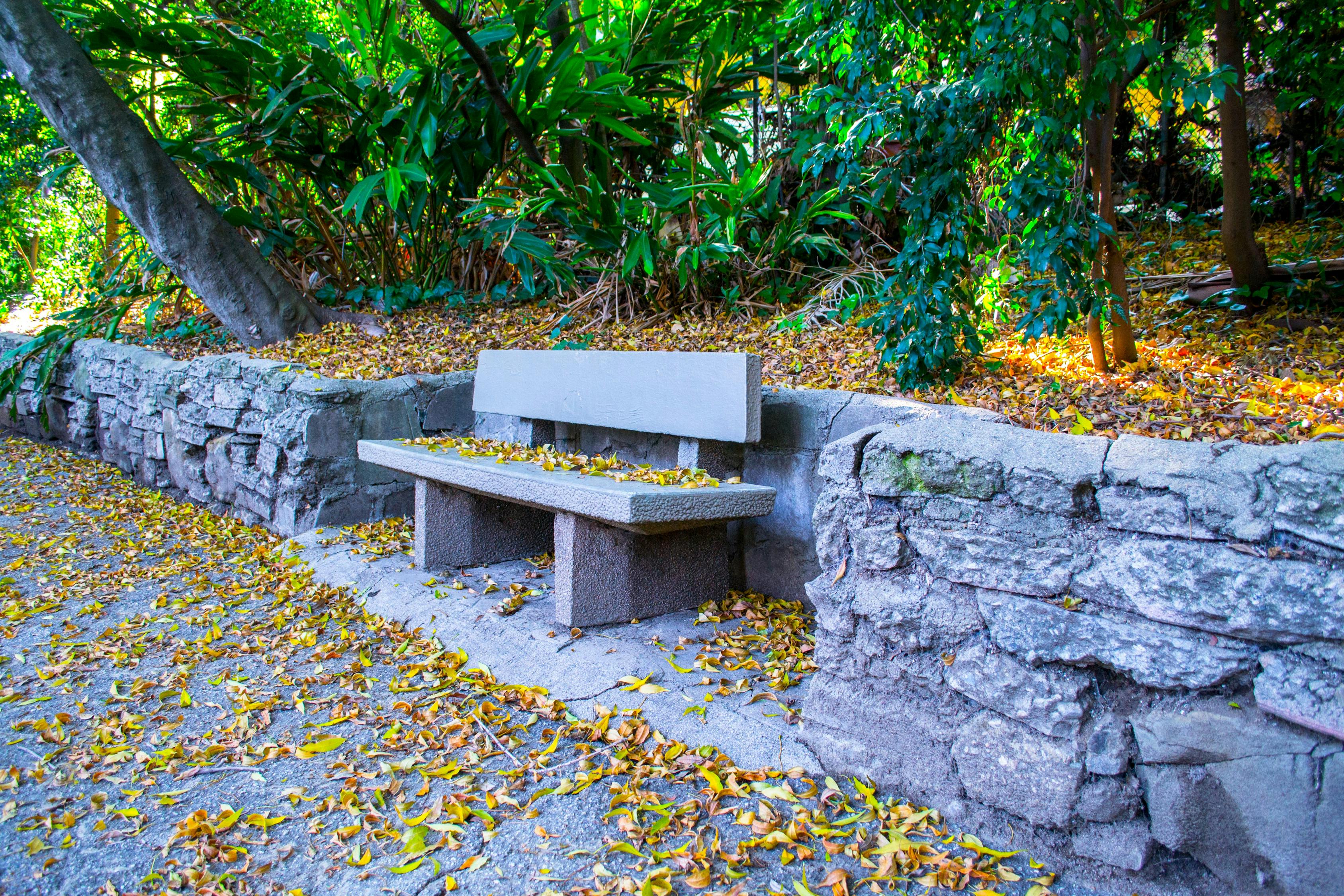 廣州 綠化（廣州市公園管理屬哪個部門） 廣州景觀設計 第2張