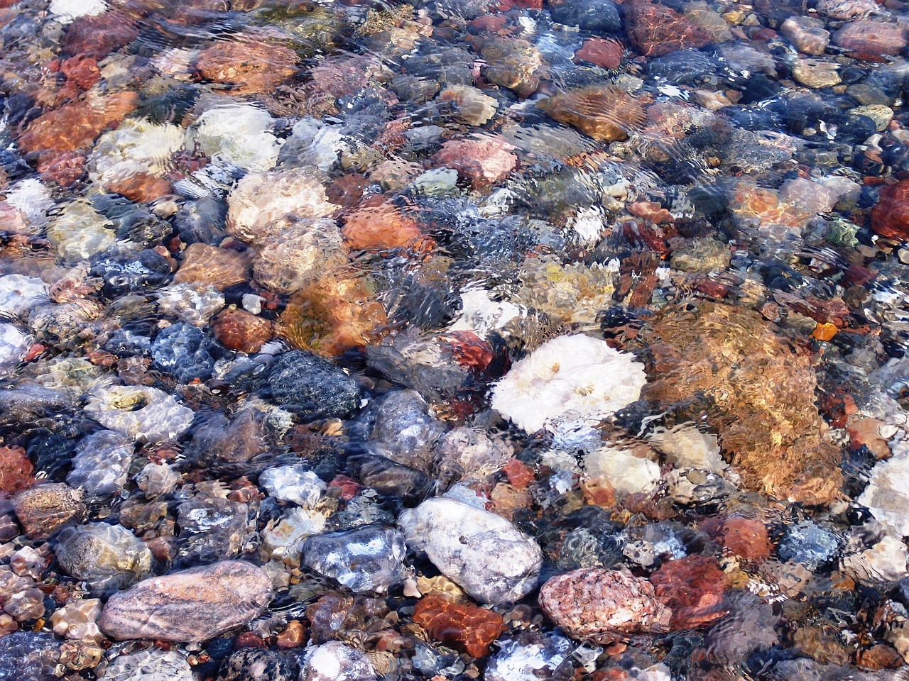 雷龍魚造景用什么石頭最好（雷龍 造景） 夢幻雷龍魚 第1張