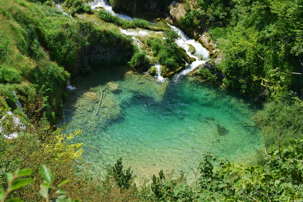 魚缸造景如何清理魚缸水垢圖片大全（魚缸造景擺件怎么清洗） 廣州景觀設(shè)計(jì) 第3張