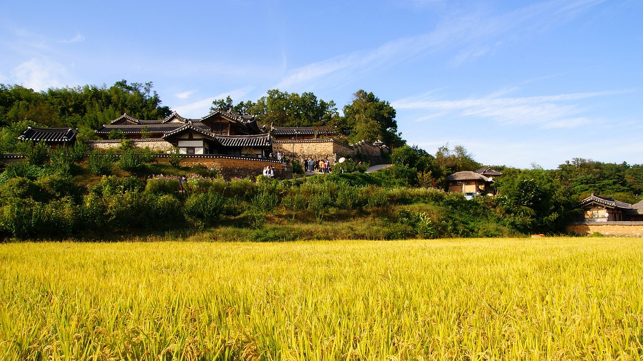 富源縣古敢水族鄉(xiāng)新農(nóng)村飼料店 全國水族館企業(yè)名錄 第2張