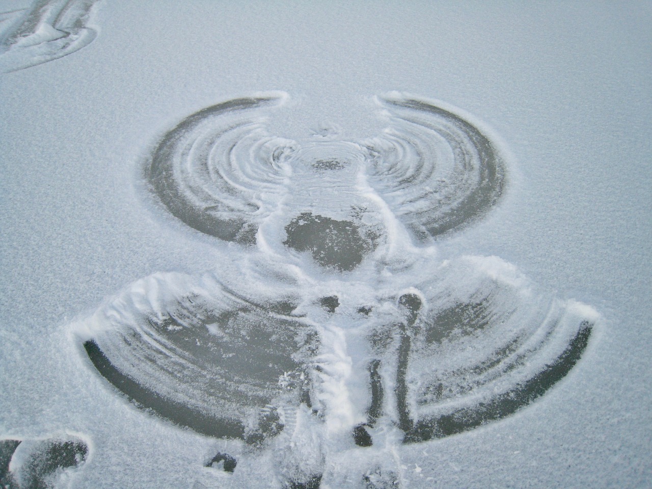 魚(yú)缸魚(yú)的圖片暗示什么意思(魚(yú)缸寓意)