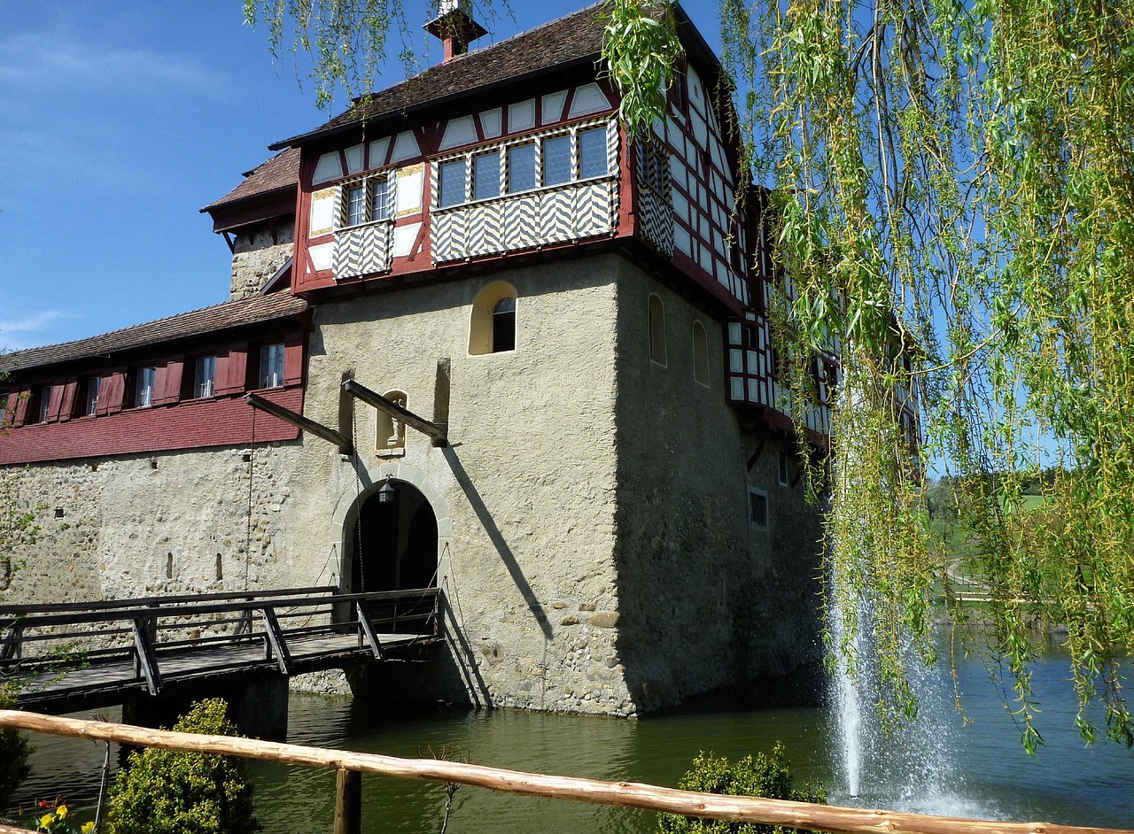 庭院建魚(yú)池視頻教程（庭院魚(yú)池底水變黑怎么辦） 廣州景觀設(shè)計(jì) 第3張