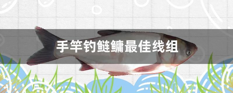 手竿釣鰱鳙最佳線組 過濾設(shè)備