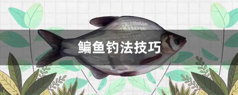 鳊魚釣法技巧 水溫計(jì)