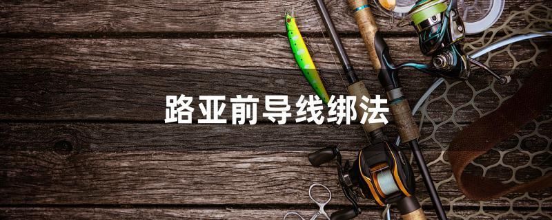 路亞前導(dǎo)線綁法 祥龍龍魚專用水族燈