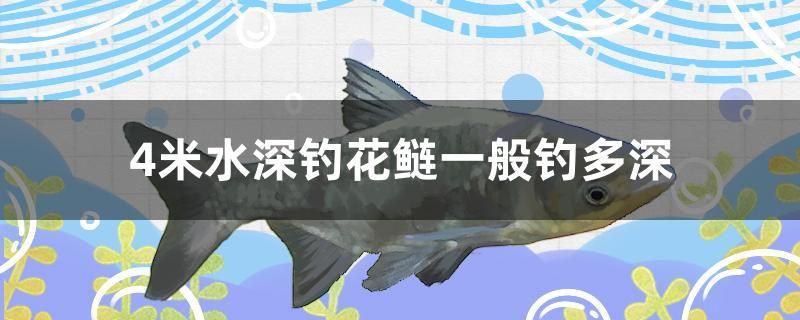 4米水深釣花鰱一般釣多深 福魟魟魚