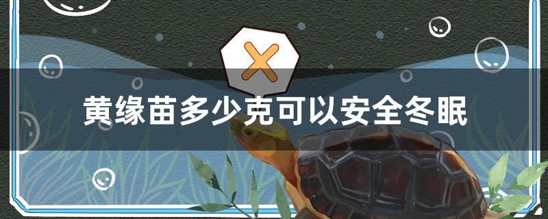 黃緣苗多少克可以安全冬眠 賽級紅龍魚