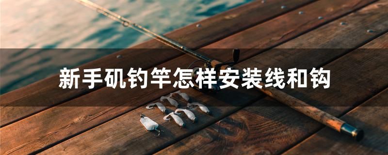 孵化中 觀賞魚(yú)論壇 第2張