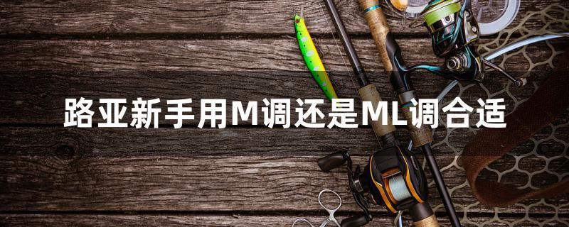 路亞新手用M調(diào)還是ML調(diào)合適