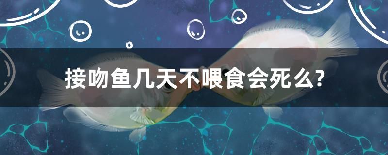 接吻魚幾天不喂食會死么？ 委內(nèi)瑞拉奧里諾三間魚