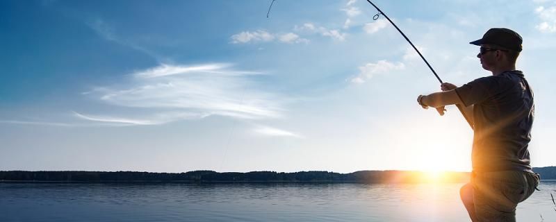 海鱸魚一般在水下幾米的水層怎么釣容易釣 胭脂孔雀龍魚