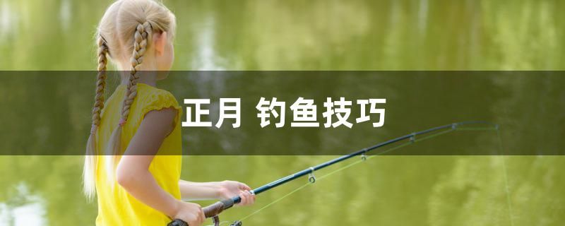 正月釣魚技巧