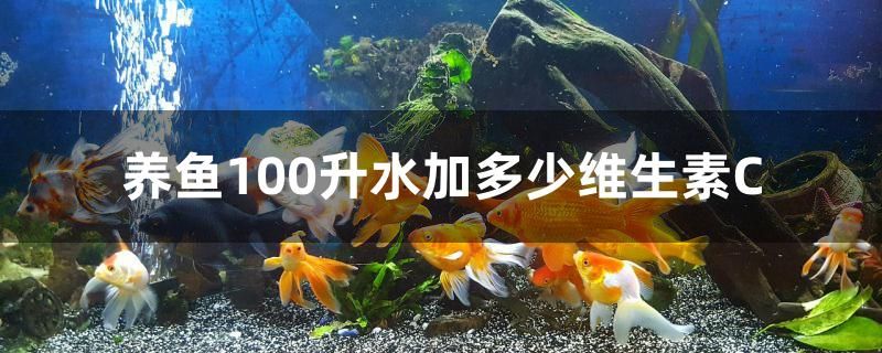 養(yǎng)魚(yú)100升水加多少維生素C