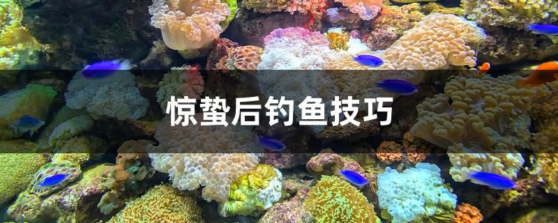 驚蟄后釣魚技巧