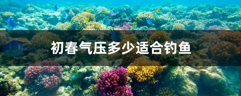 初春氣壓多少適合釣魚