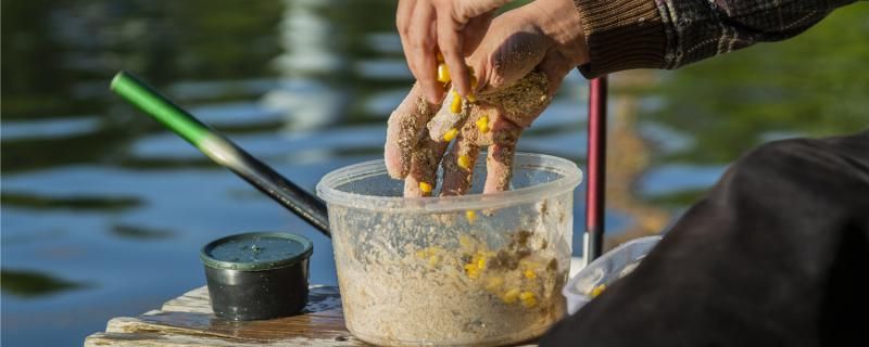 小麥能用來釣魚嗎如何發(fā)酵釣魚 刀魚魚