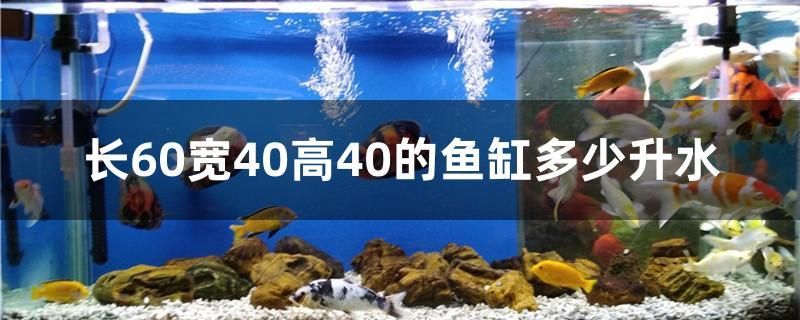 長(zhǎng)60寬40高40的魚缸多少升水 細(xì)線銀板魚苗