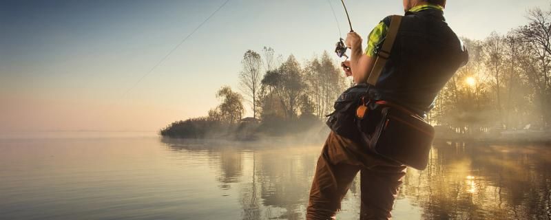 秋天西南風適合釣魚嗎最佳釣位在哪里 金龍魚糧