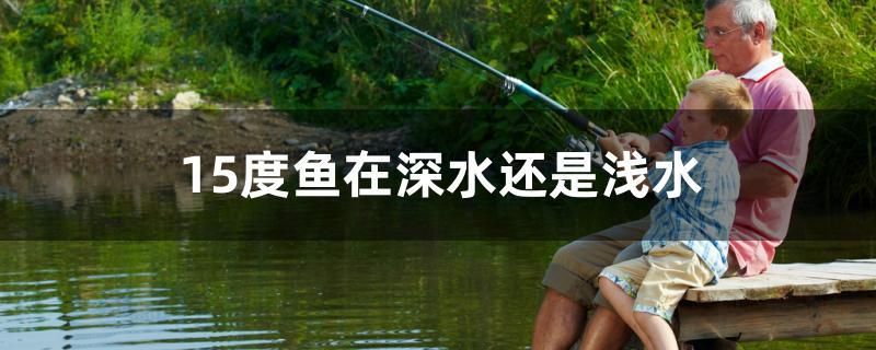 15度魚在深水還是淺水 祥龍魚藥系列