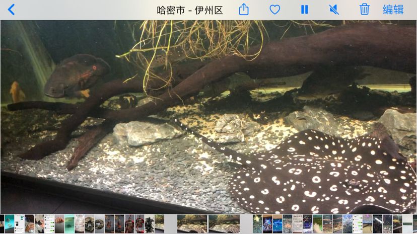 老款魚缸如何改造過濾系統(tǒng)圖片（老魚缸怎么改造）