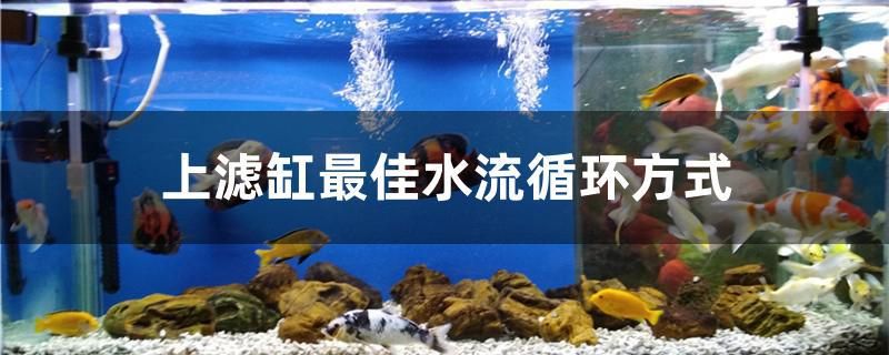 上濾缸最佳水流循環(huán)方式