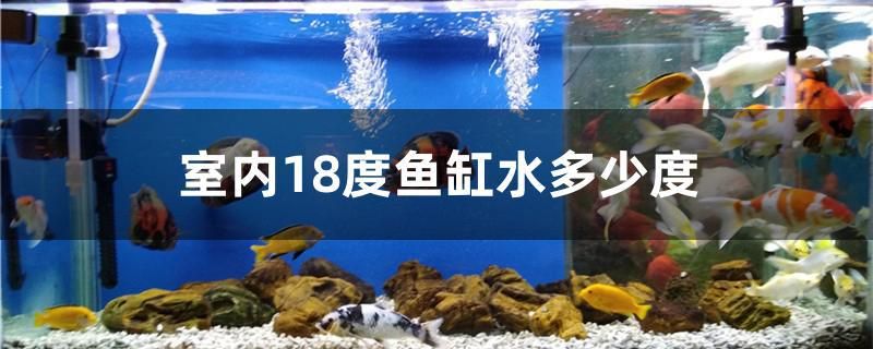 室內(nèi)18度魚(yú)缸水多少度 飛鳳魚(yú)苗